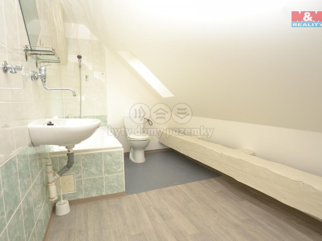 Pronajem bytu 1+1 40 m2