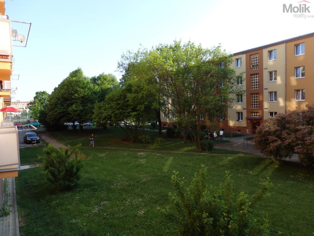 Pronájem bytu 3+1 63 m2