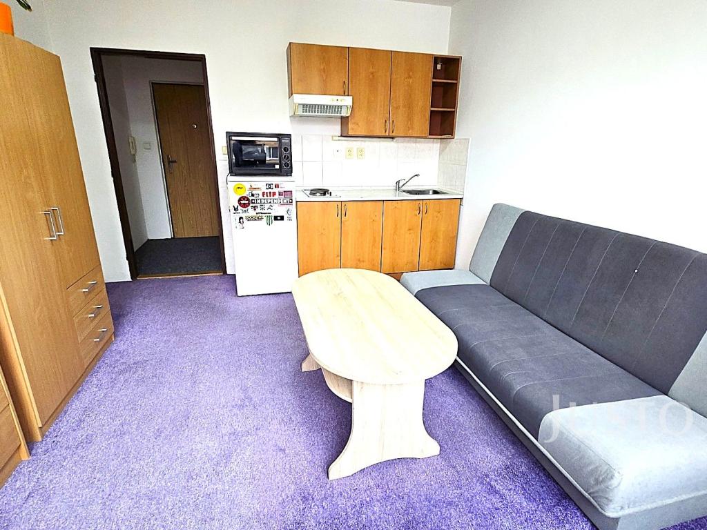 Pronájem bytu 1+kk 20 m2