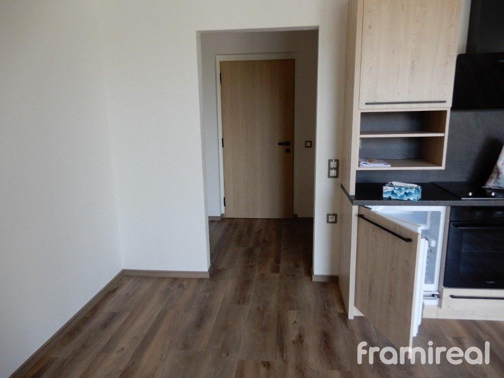 Pronájem bytu 1+kk 30 m2
