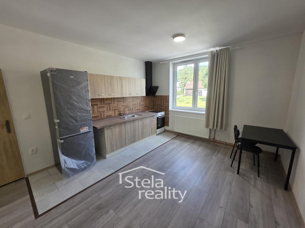 Pronájem bytu 1+kk 45 m2