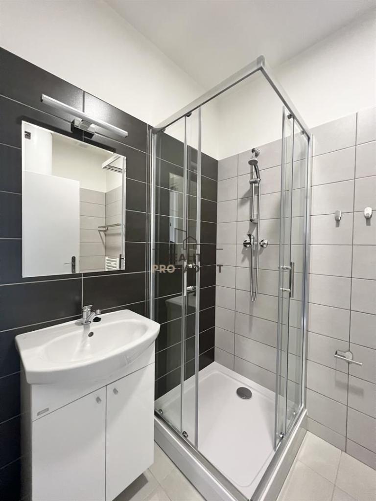 Pronájem bytu 2+1 31 m2, Brno – náhled fotky 12