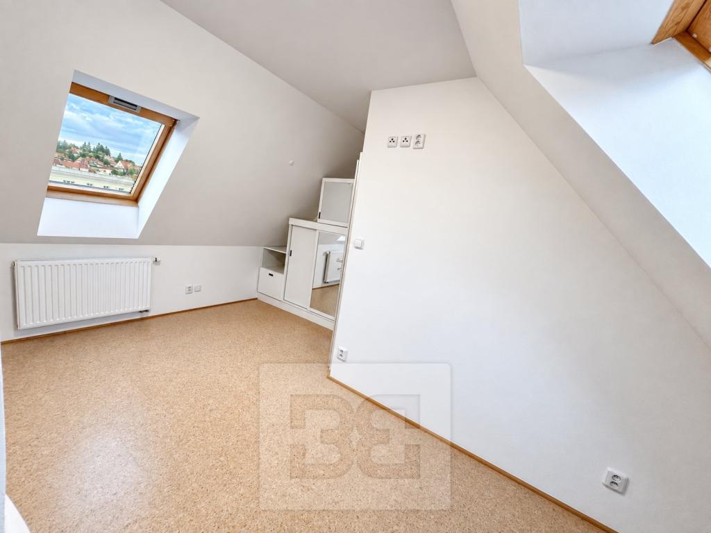 Pronájem bytu 4+kk 99 m2, Praha – náhled fotky 18