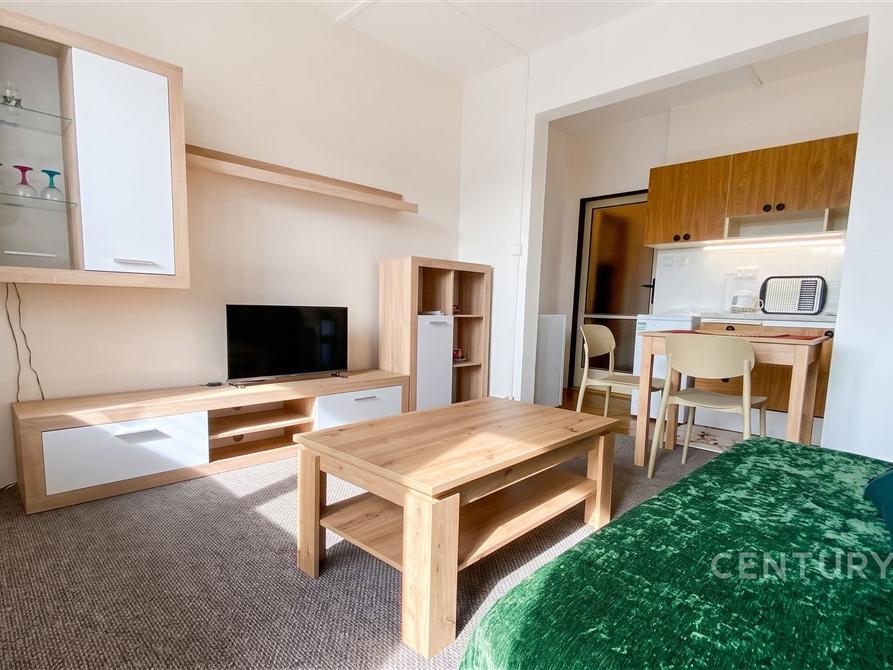 Pronájem bytu 1+kk 28 m2