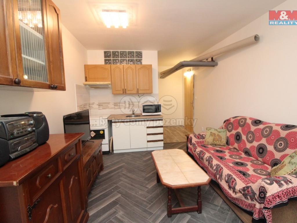 Pronajem bytu 1+kk 20 m2