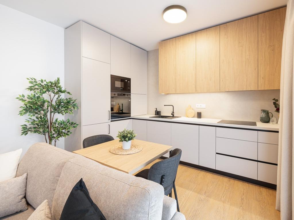 Pronájem bytu 1+kk 53 m2