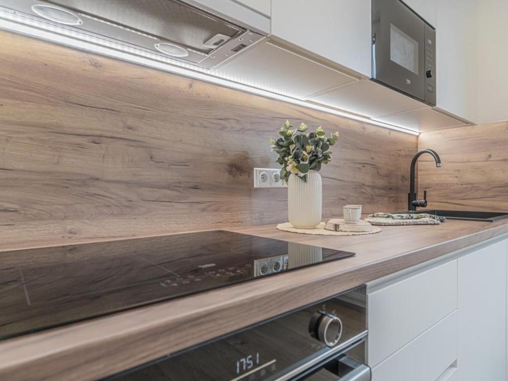 Pronájem bytu 2+kk 55 m2