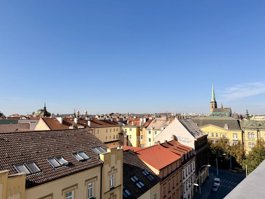 Pronájem bytu 1+1 34 m2, Plzeň – náhled fotky 5