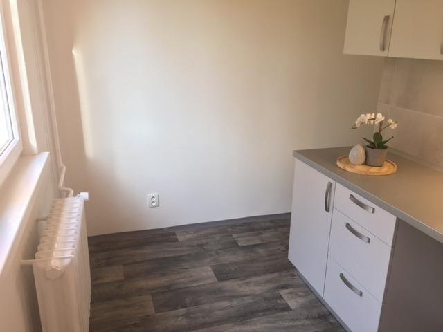 Pronájem bytu 1+1 40 m2