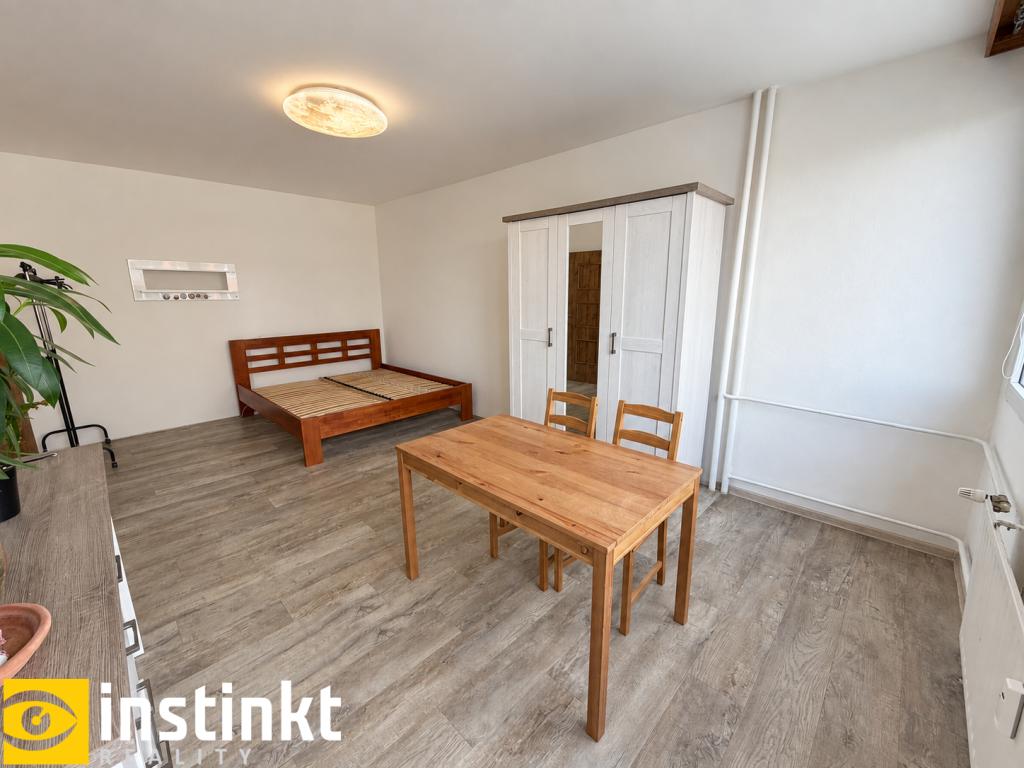Pronájem bytu 1+1 47 m2