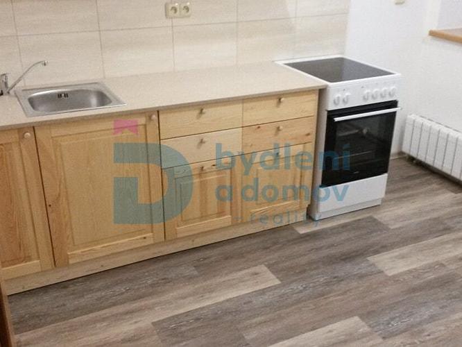 Pronájem bytu 1+1 45 m2