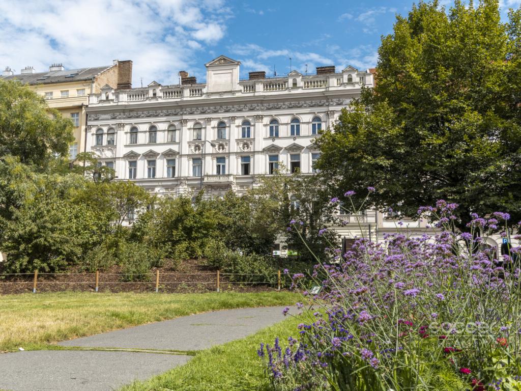 Pronájem bytu 2+1 65 m2