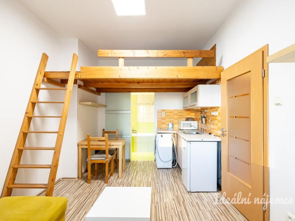 Pronájem bytu 1+kk 20 m2