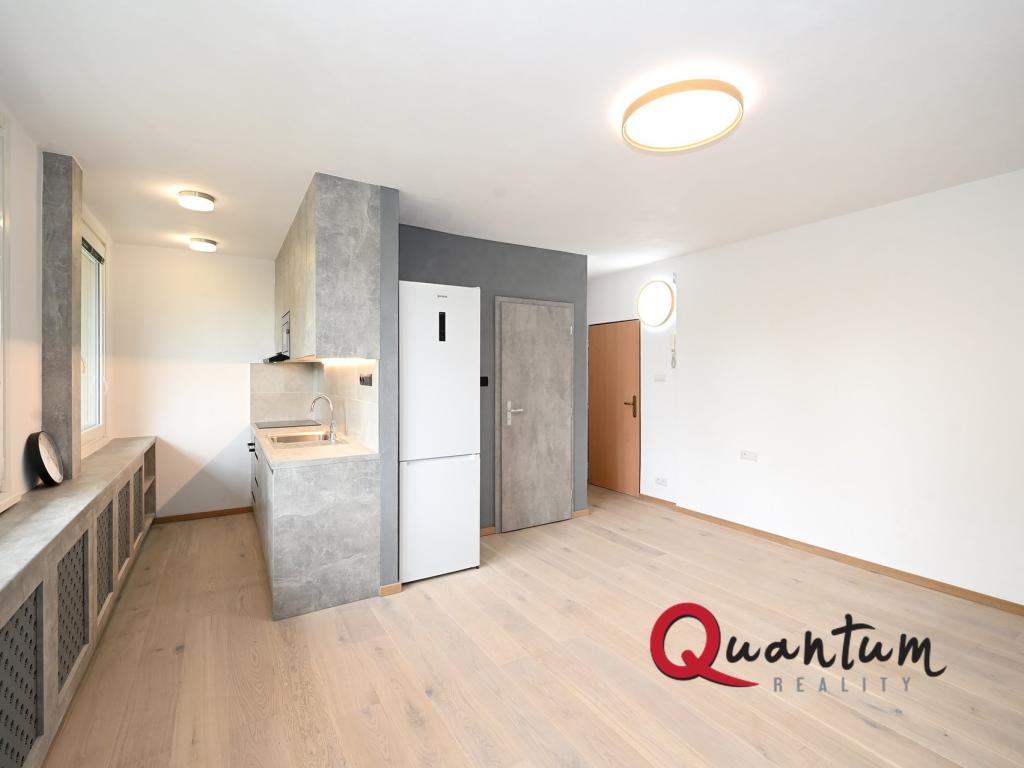 Pronájem bytu 1+kk 36 m2