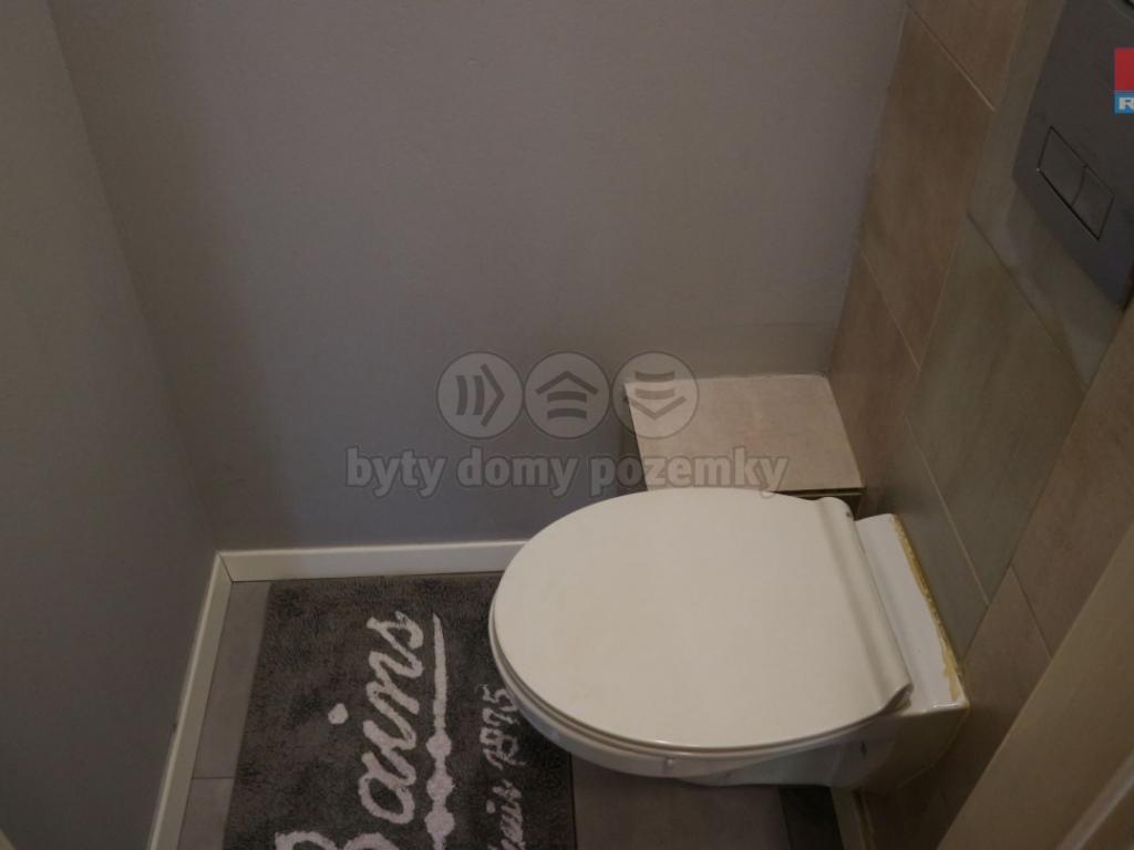 Pronajem bytu dům 495 m2
