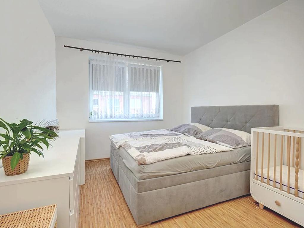 Pronájem bytu 2+kk 55 m2, Brno – náhled fotky 12