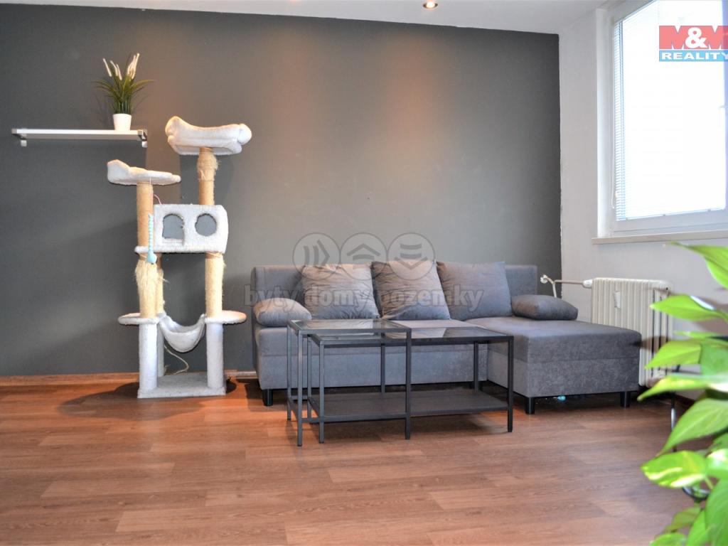Pronajem bytu 2+1 45 m2