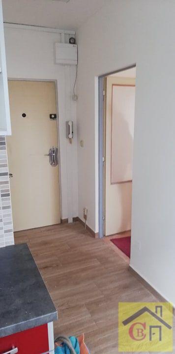 Pronajem bytu 1+1 34 m2