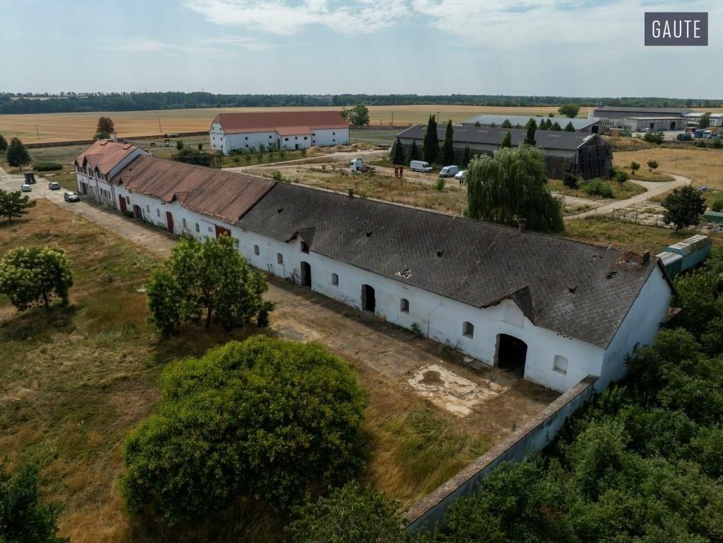 Prodej domu 5889 m2, Vlasatice – náhled fotky 13