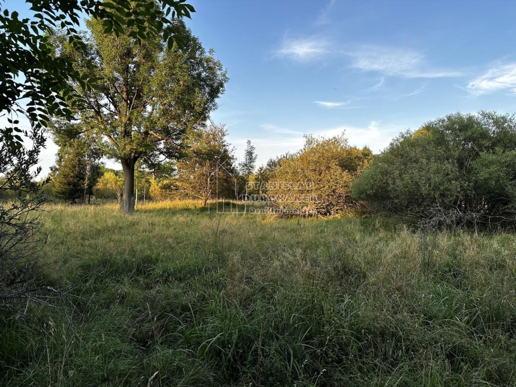 Prodej pozemku 4929 m2, Nová Ves – náhled fotky 12