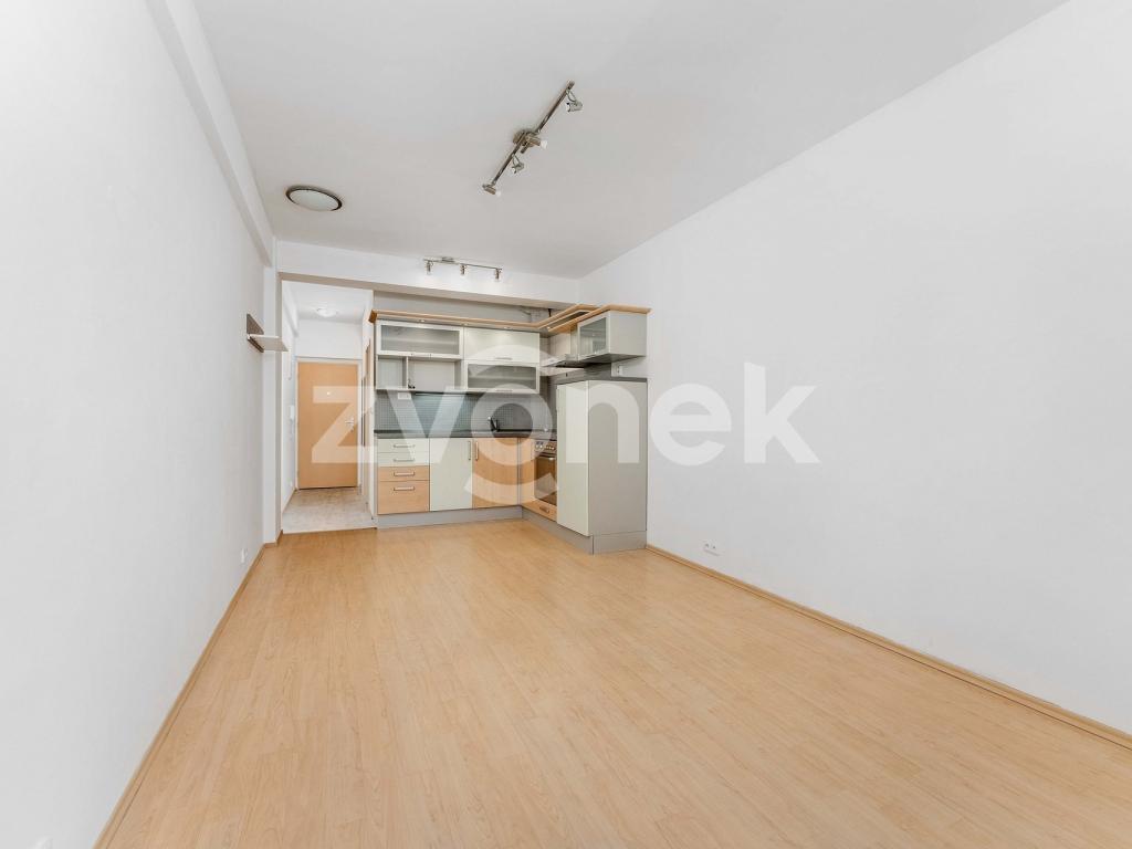 Pronájem bytu 1+kk 27 m² – pohled 4