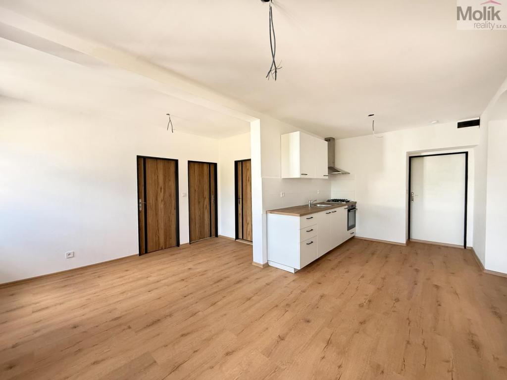 Pronájem bytu 3+kk 48 m2