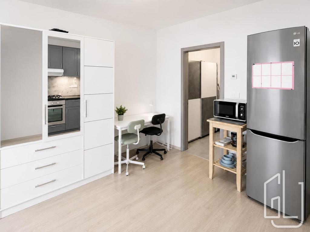 Pronájem bytu 1+kk 38 m2