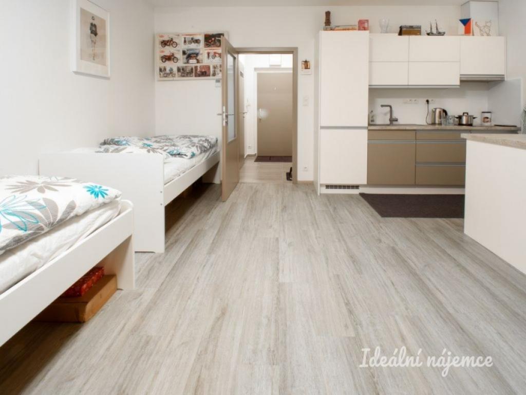 Pronájem bytu 1+kk 35 m2