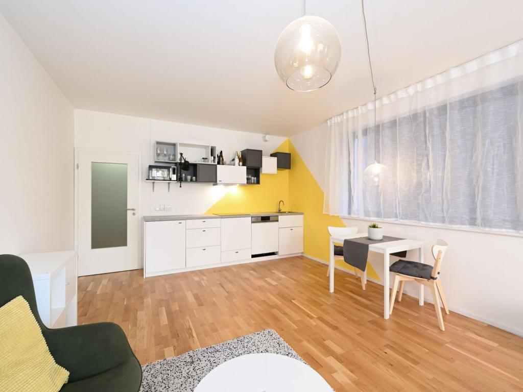 Pronájem bytu 1+kk 43 m2