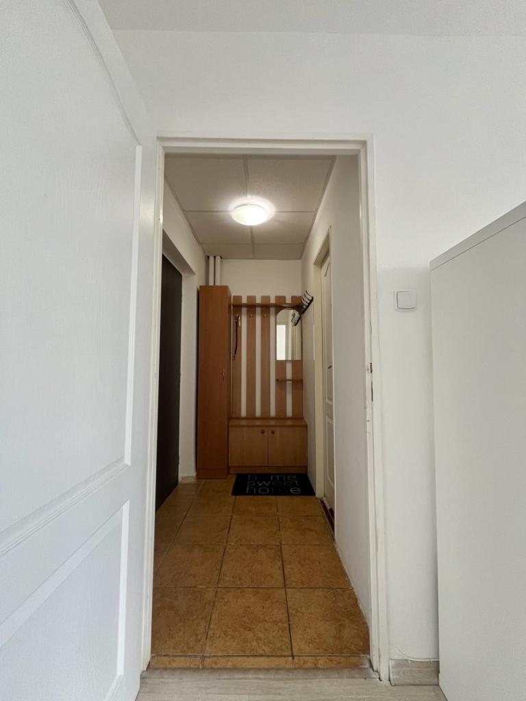 Pronájem bytu 1+1 30 m2, Ostrava – náhled fotky 9
