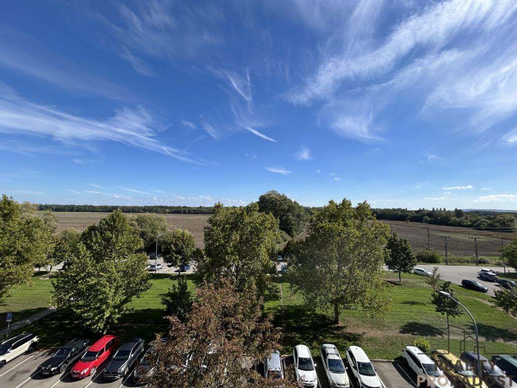 Pronájem bytu 2+1 45 m2, Hodonín – náhled fotky 6