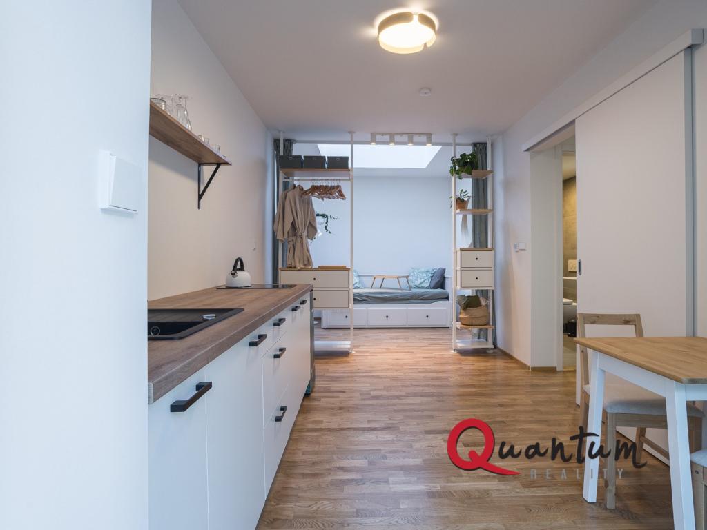 Pronájem bytu 1+kk 35 m2