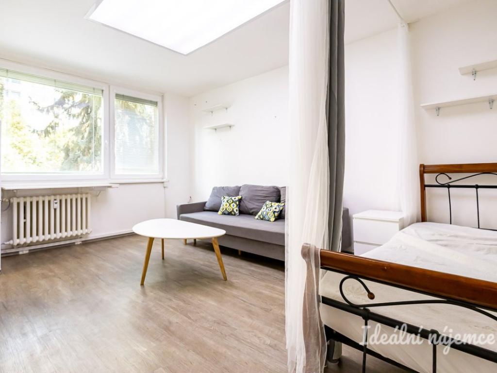Pronájem bytu 1+1 31 m2