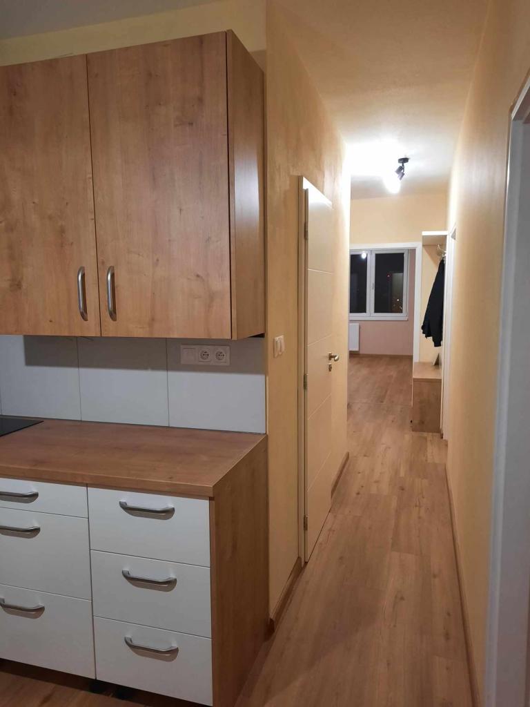 Pronajem bytu 2+1 60 m2