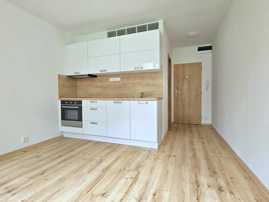 Pronájem bytu 1+kk 36 m2
