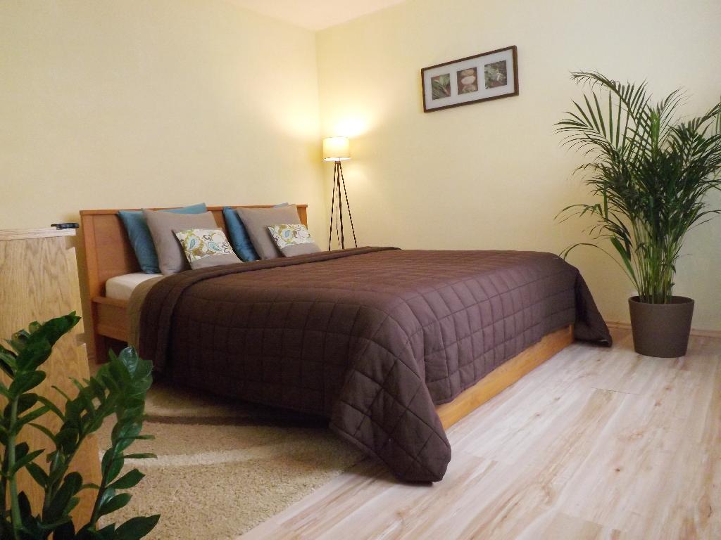 Pronajem bytu 5+kk 160 m2