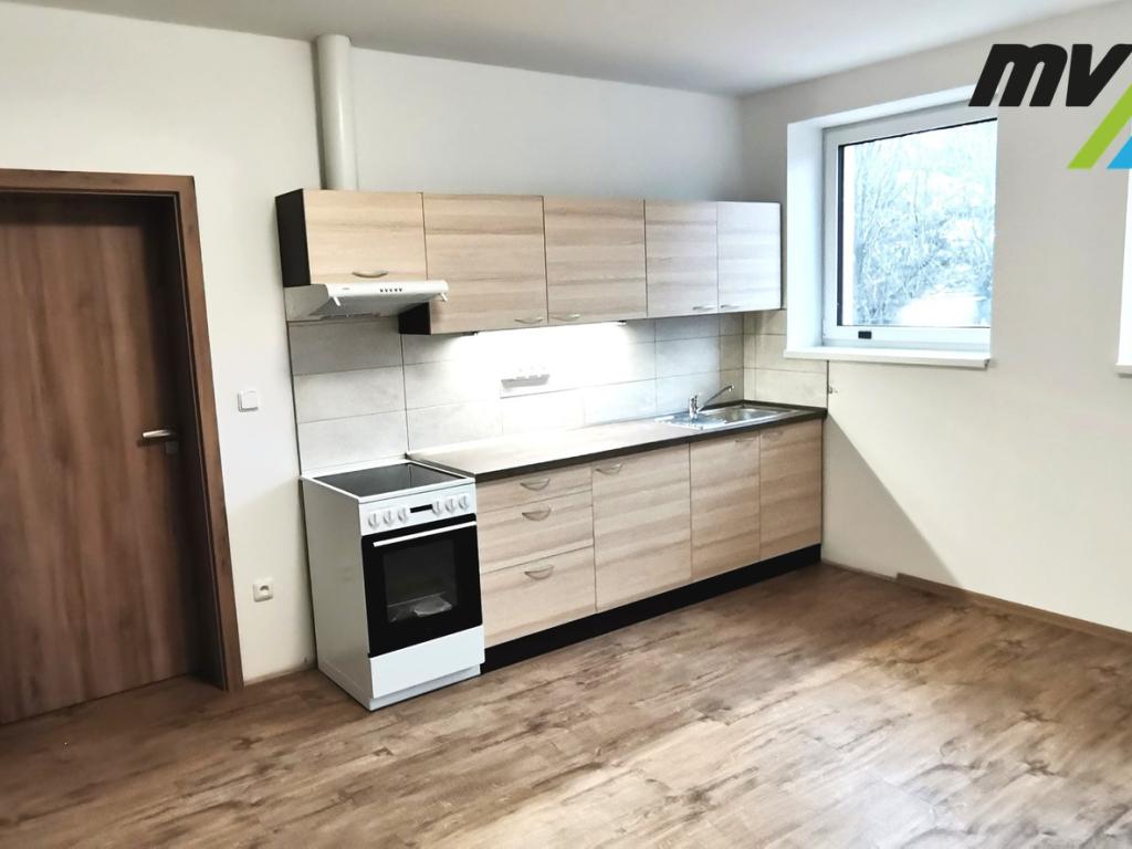 Pronájem bytu 1+1 68 m2