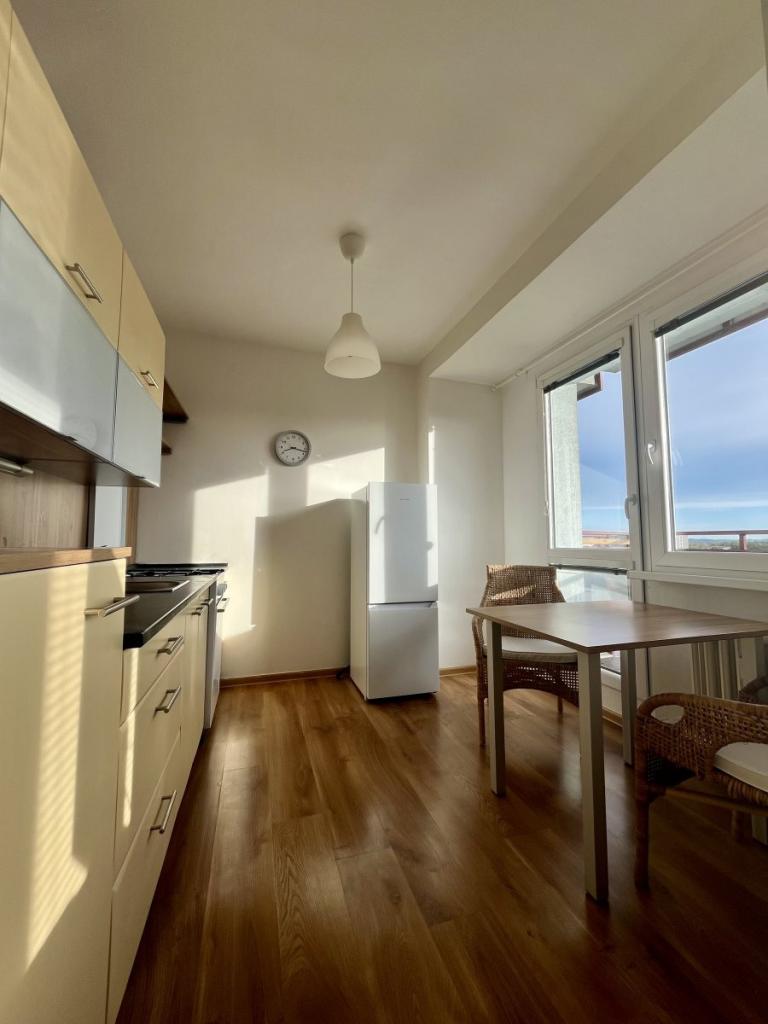 Pronájem bytu 1+1 37 m2