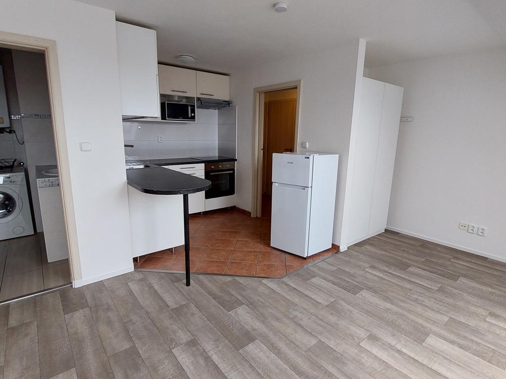 Pronájem bytu 1+kk 42 m2