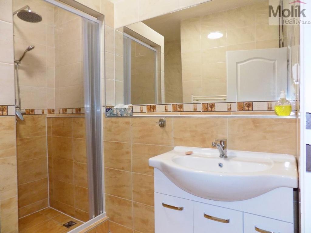 Pronájem bytu 2+1 53 m2