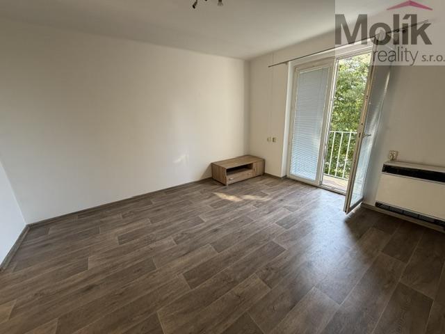 Pronájem bytu 2+1 51 m2, Litvínov – náhled fotky 7