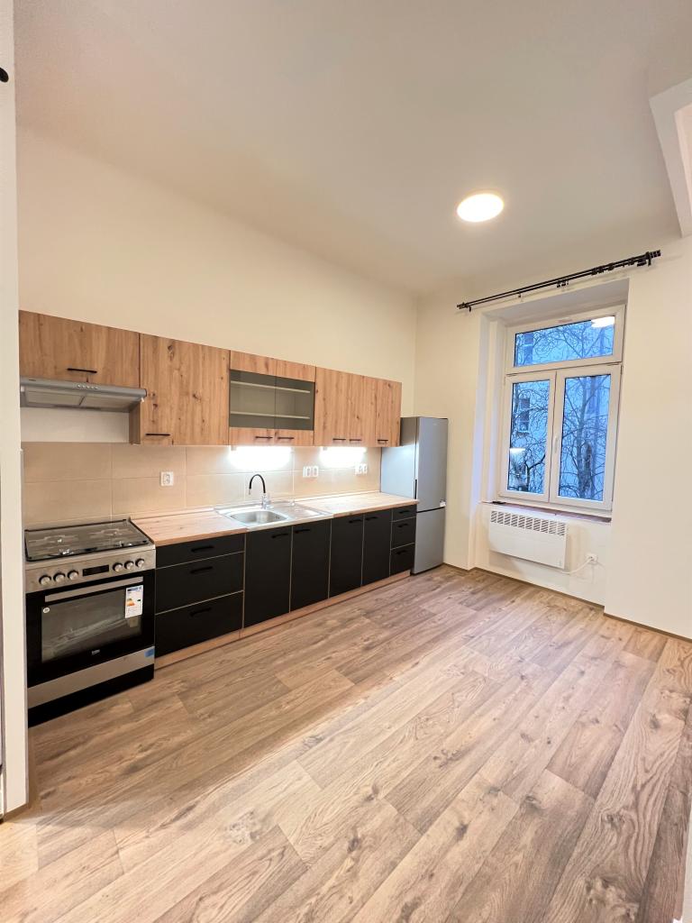 Pronájem bytu 1+1 39 m2