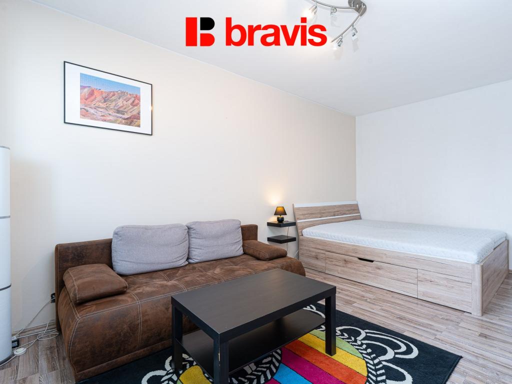 Pronájem bytu 1+1 42 m2