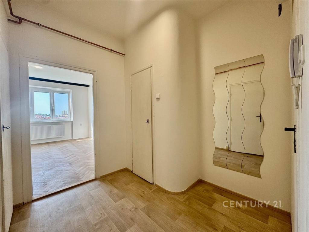 Pronájem bytu 1+1 40 m2