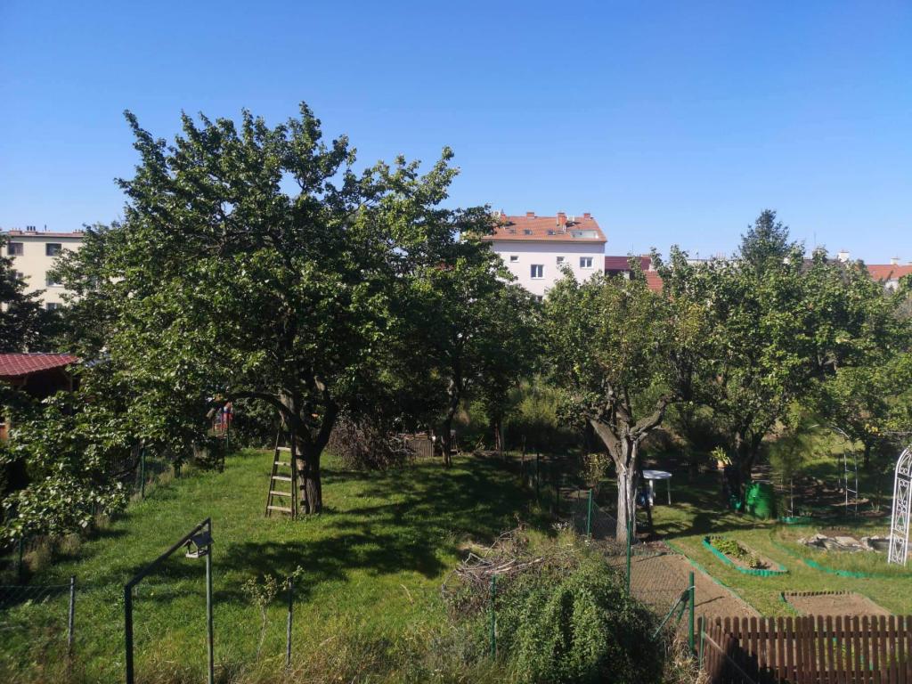 Spolubydleni bytu celý pokoj 60 m2