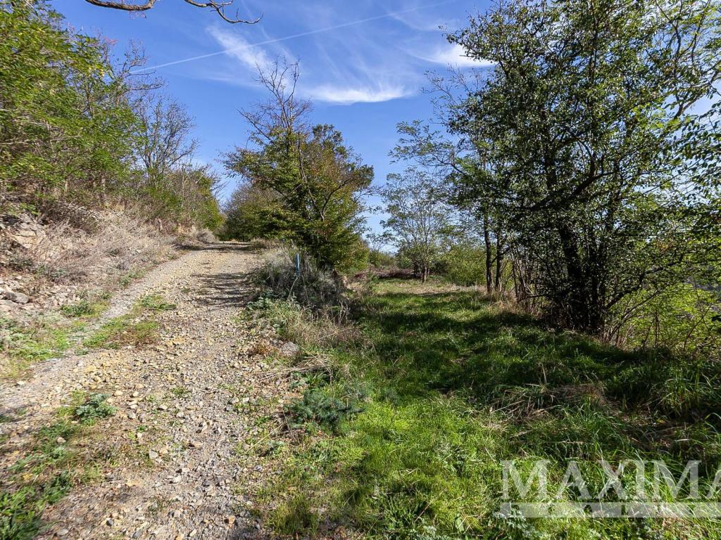 Prodej pozemku 7462 m2, Solenice – náhled fotky 25