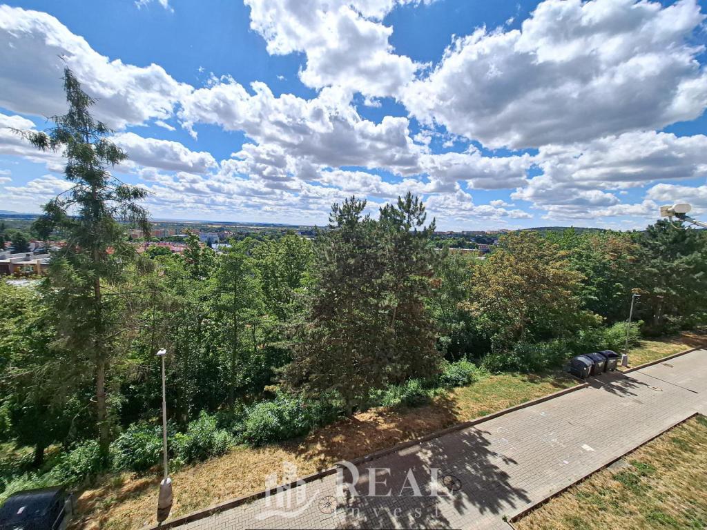 Pronájem bytu 1+1 42 m² – další
