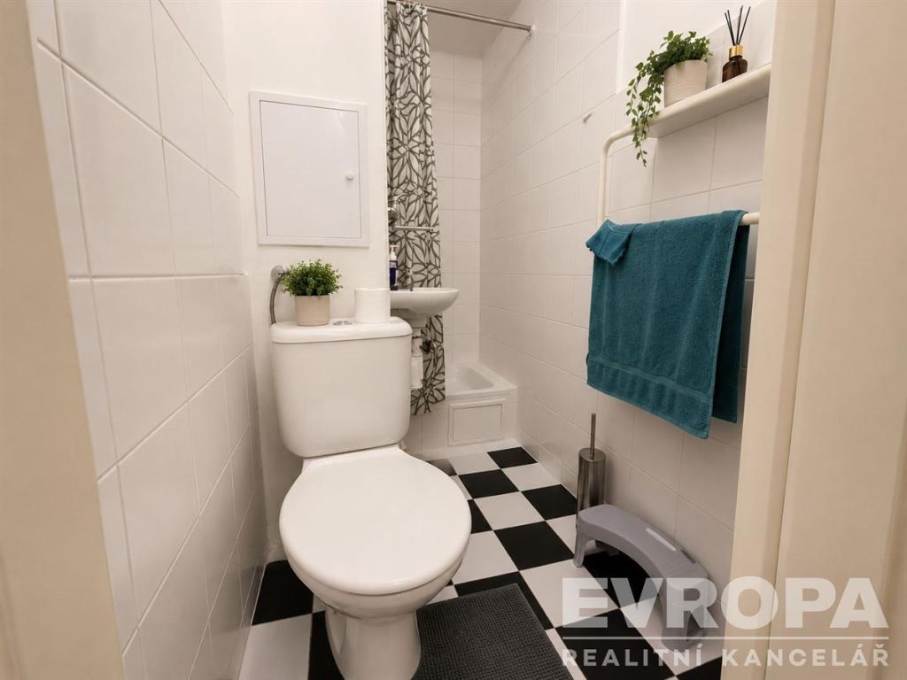 Pronájem bytu 1+kk 19 m2