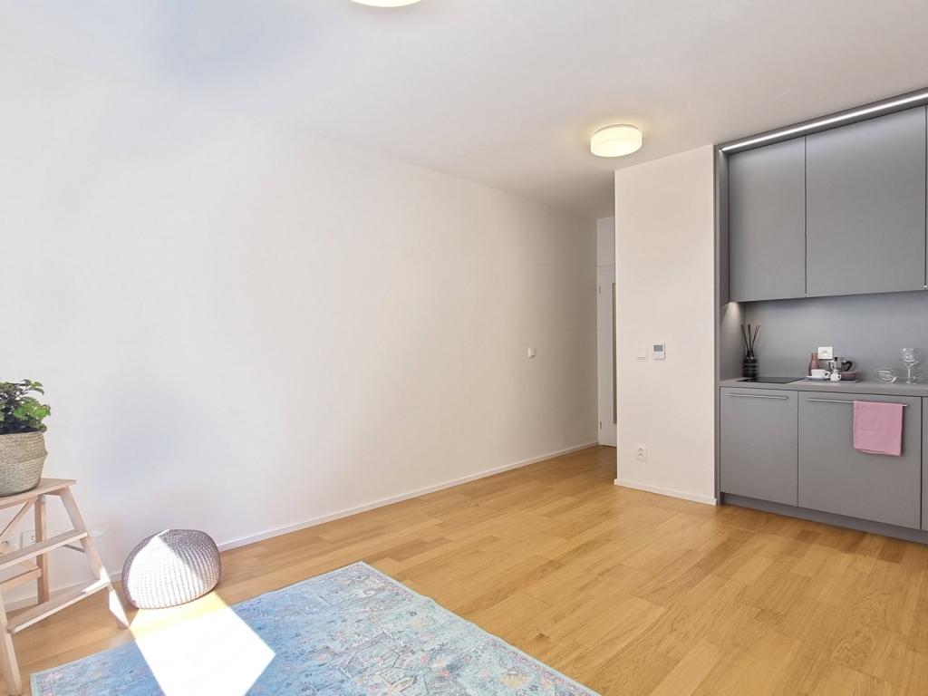 Pronájem bytu 1+kk 24 m2