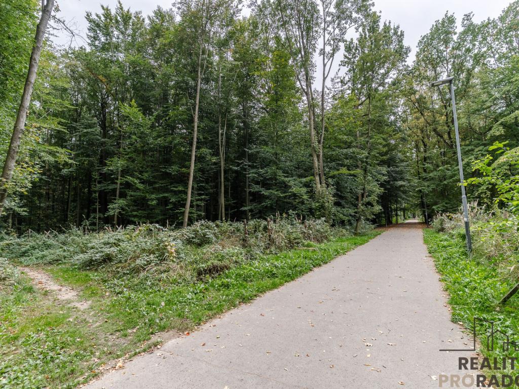 Prodej bytu 2+1 54 m2, Ostrava – náhled fotky 26